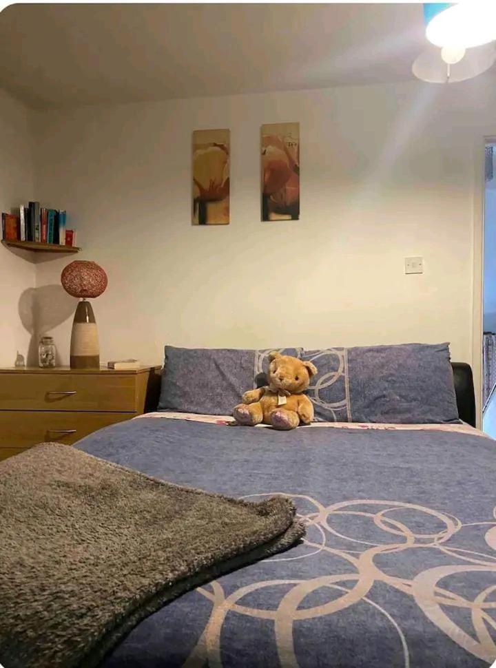Apartament Castleton Belfast Zewnętrze zdjęcie