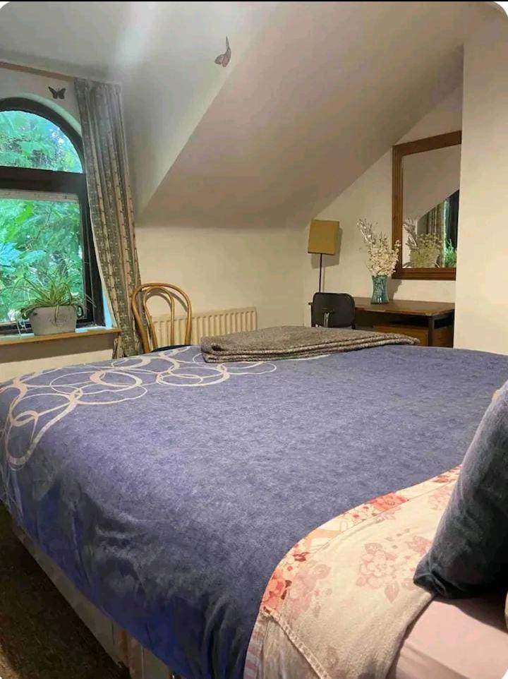 Apartament Castleton Belfast Zewnętrze zdjęcie