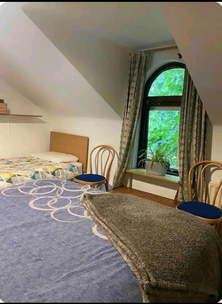 Apartament Castleton Belfast Zewnętrze zdjęcie